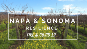 Napa & Sonoma Resilience: Fires & Covid