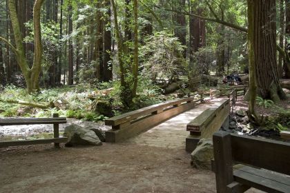 Haunted Tales of Muir Woods