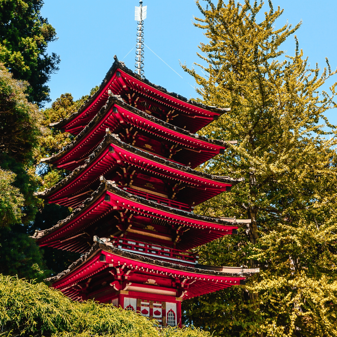 Golden Gate Park: History, Landmarks & Fun Facts to Know Before You Go