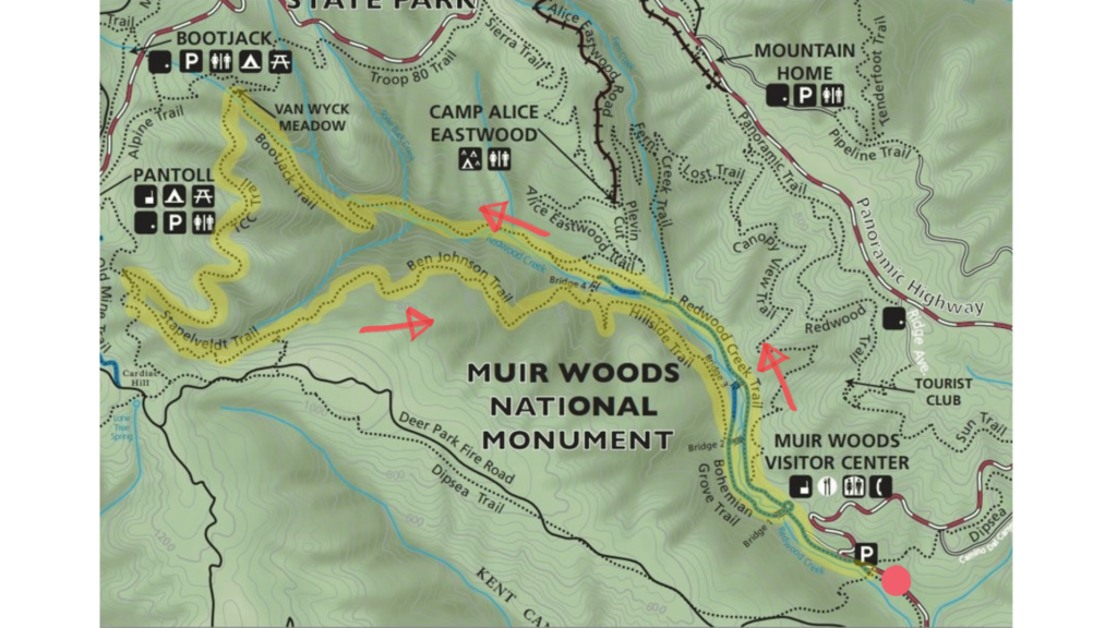 bootjack trail loop trail map in muir woods national monument
