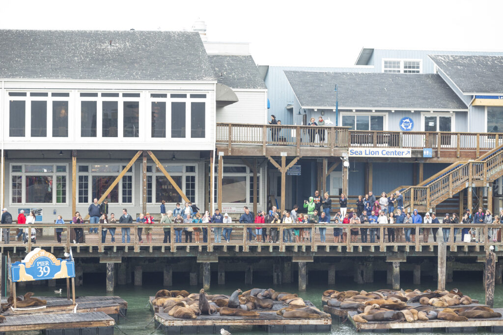 A History of Fisherman's Wharf