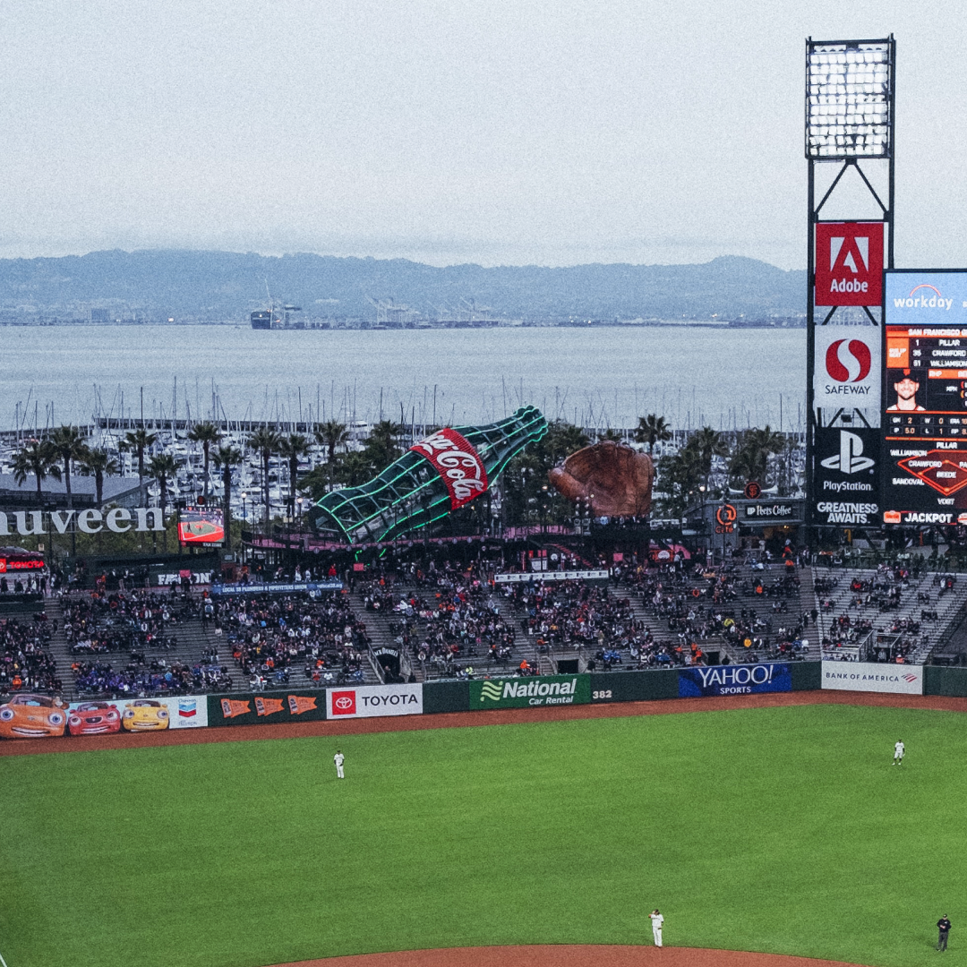 Oracle Park Gray Line of San Francisco