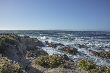 Exploring Monterey Bay’s 17-Mile Drive