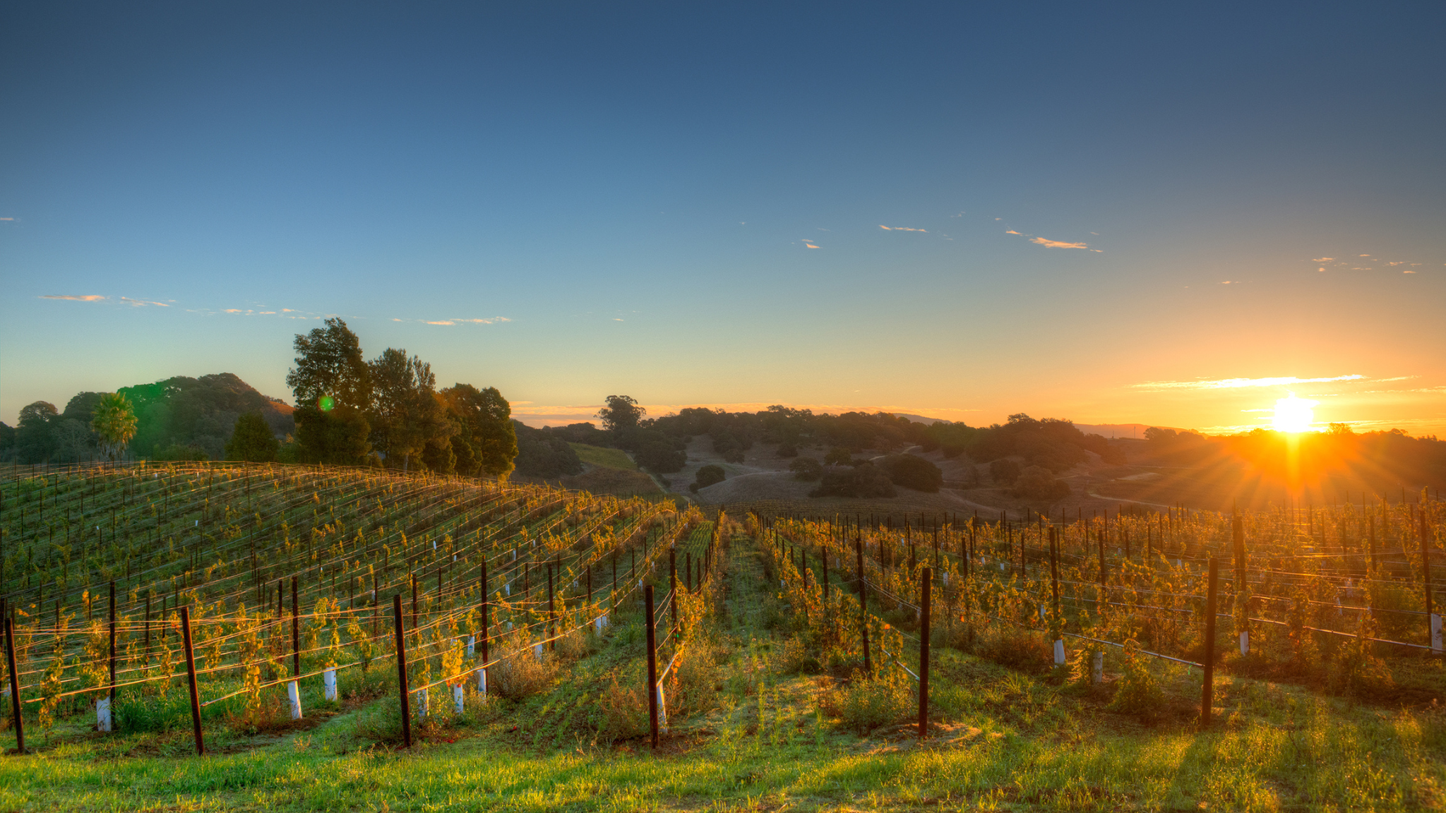 Best Way to Get to Napa Valley from San Francisco