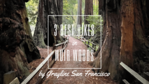 Best Hikes in Muir Woods for all levels on a Muir Woods Tour