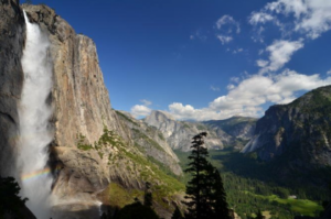 Full Day Tour of Yosemite National Park