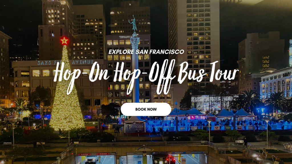 christmas in san francisco - tours offered by gray line san francisco