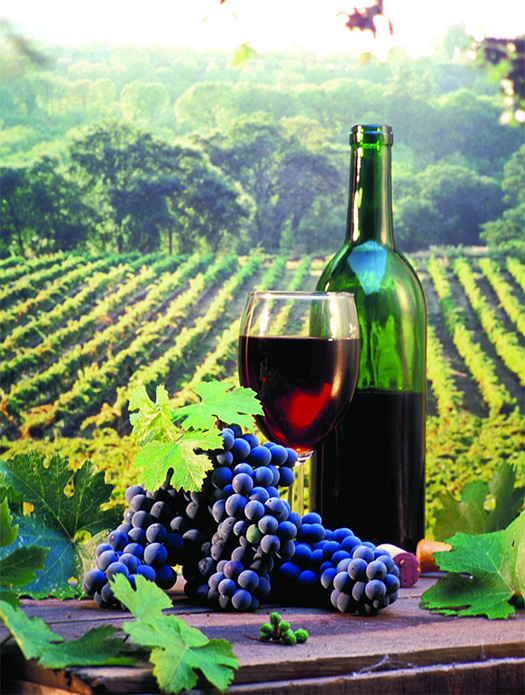 wine bottle with a glass of wine and grapes on a table in front of a vineyard