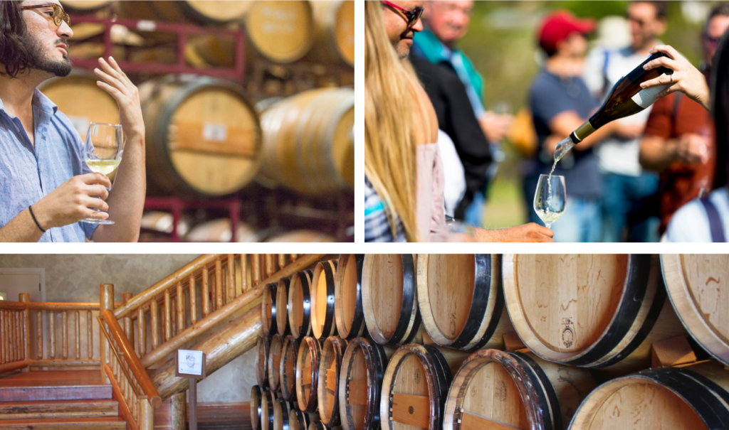 three images: one image of a wine barrel room, another of a woman drinking wine in a barrel room, another of wine being poured into a glass in a vineyard