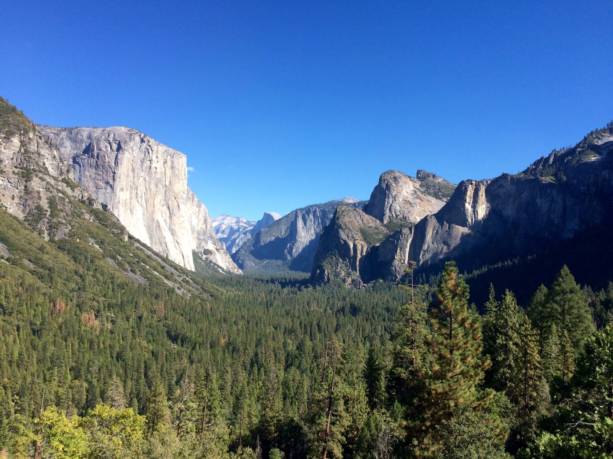 Full Day Tour of Yosemite National Park