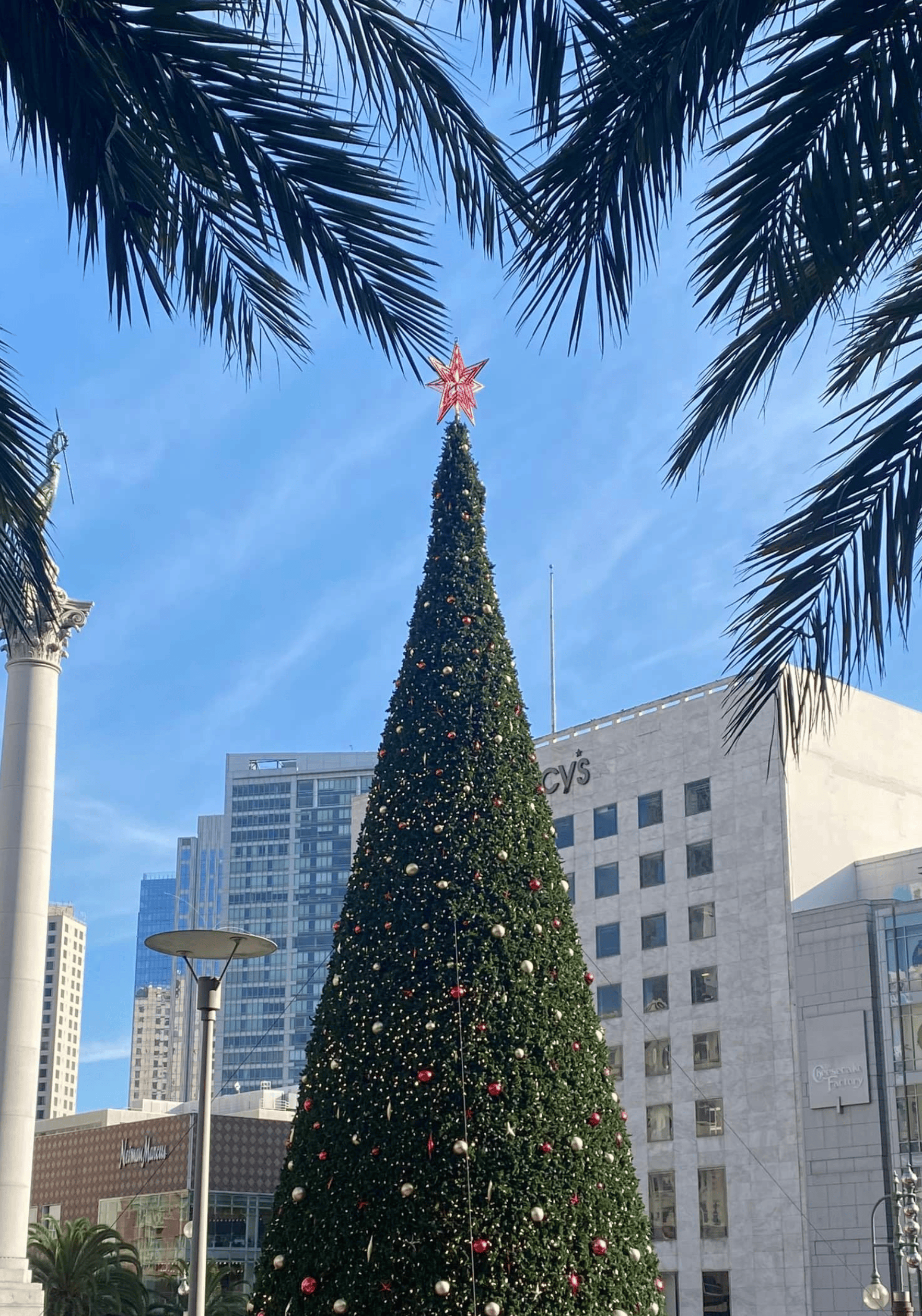 How to Spend the Holidays in San Francisco 2023 Christmas, Hanukkah