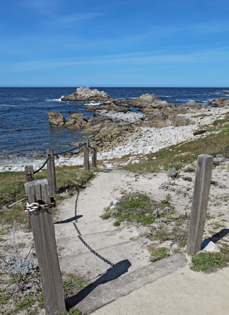 a few wooden steps on the Asilomar State Beach trail in Monterey on the beach shoreline