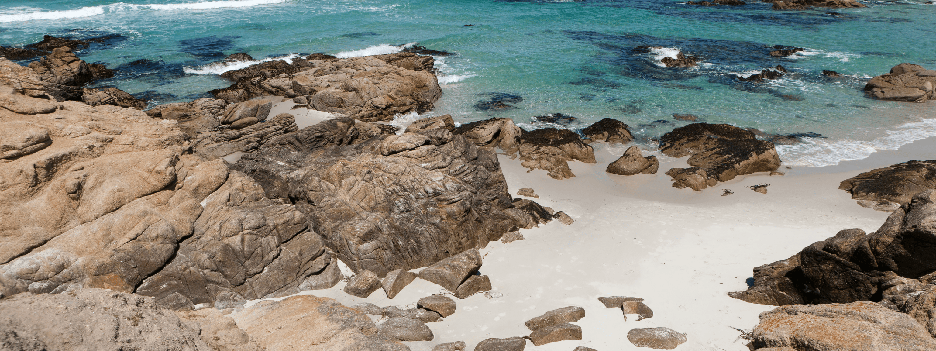 A Comprehensive Monterey Beach Guide