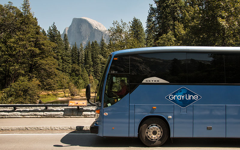 Gray Line San Francisco tour to Yosemite National Park