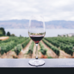 a glass of red wine on a trip to Napa Valley