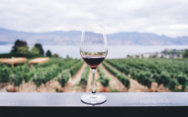 a glass of red wine on a trip to Napa Valley