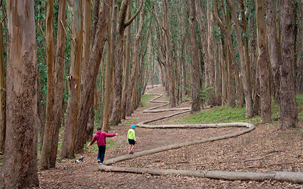 presidio san francisco