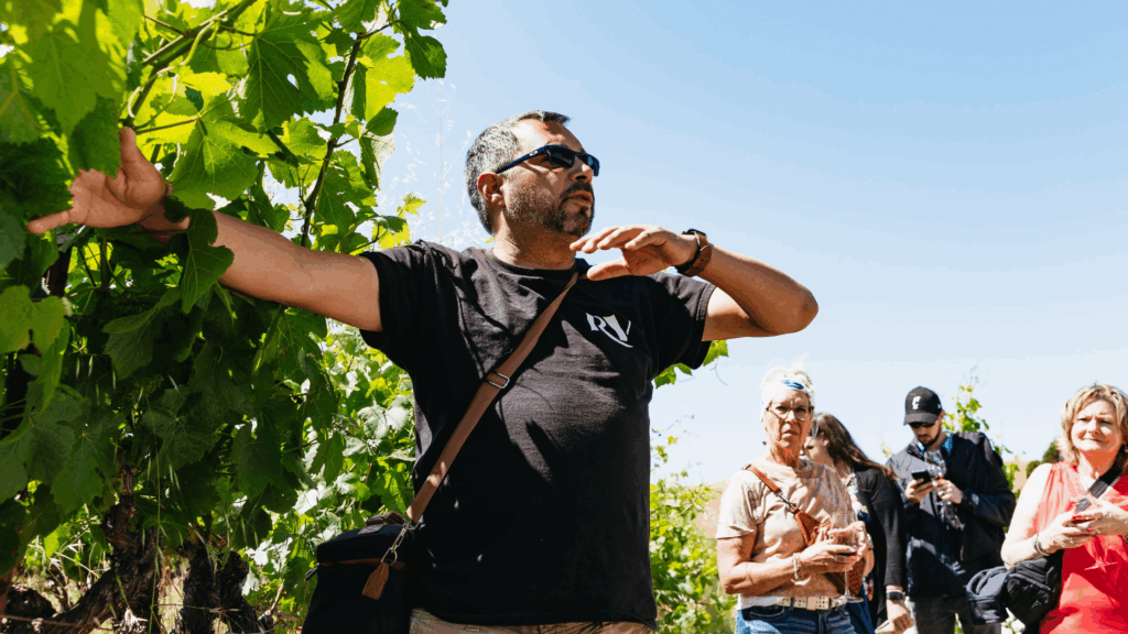 listening to a local guide on a wine tour in napa valley